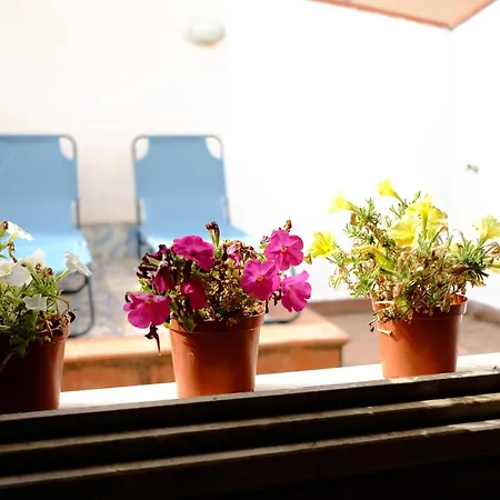 Maison Al Massimo - Center Full Apartment Palermo