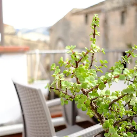 Maison Al Massimo - Center Full * Palermo