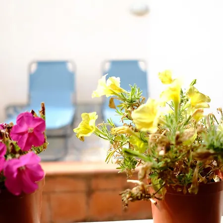 Maison Al Massimo - Center Full